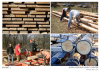 Wood processiing