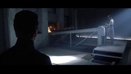 equilibrium